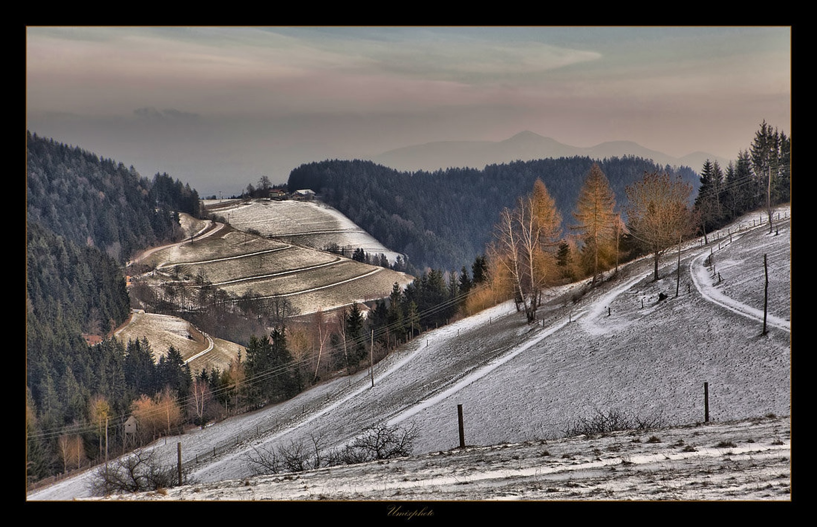 Popoldne na Rogli by umix