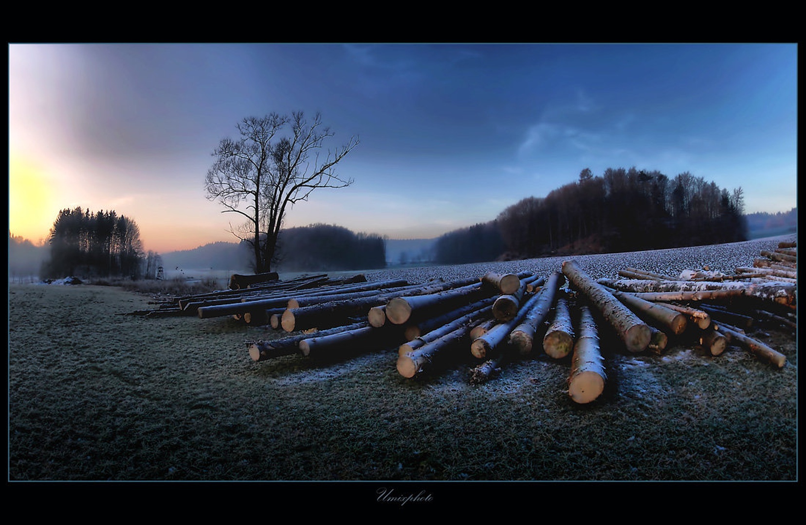 Jutro 1. januarja 2011 by umix