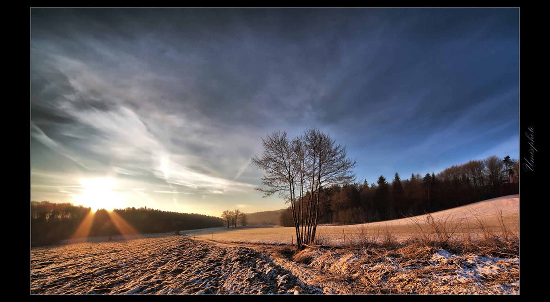 Zimsko jutro II by umix