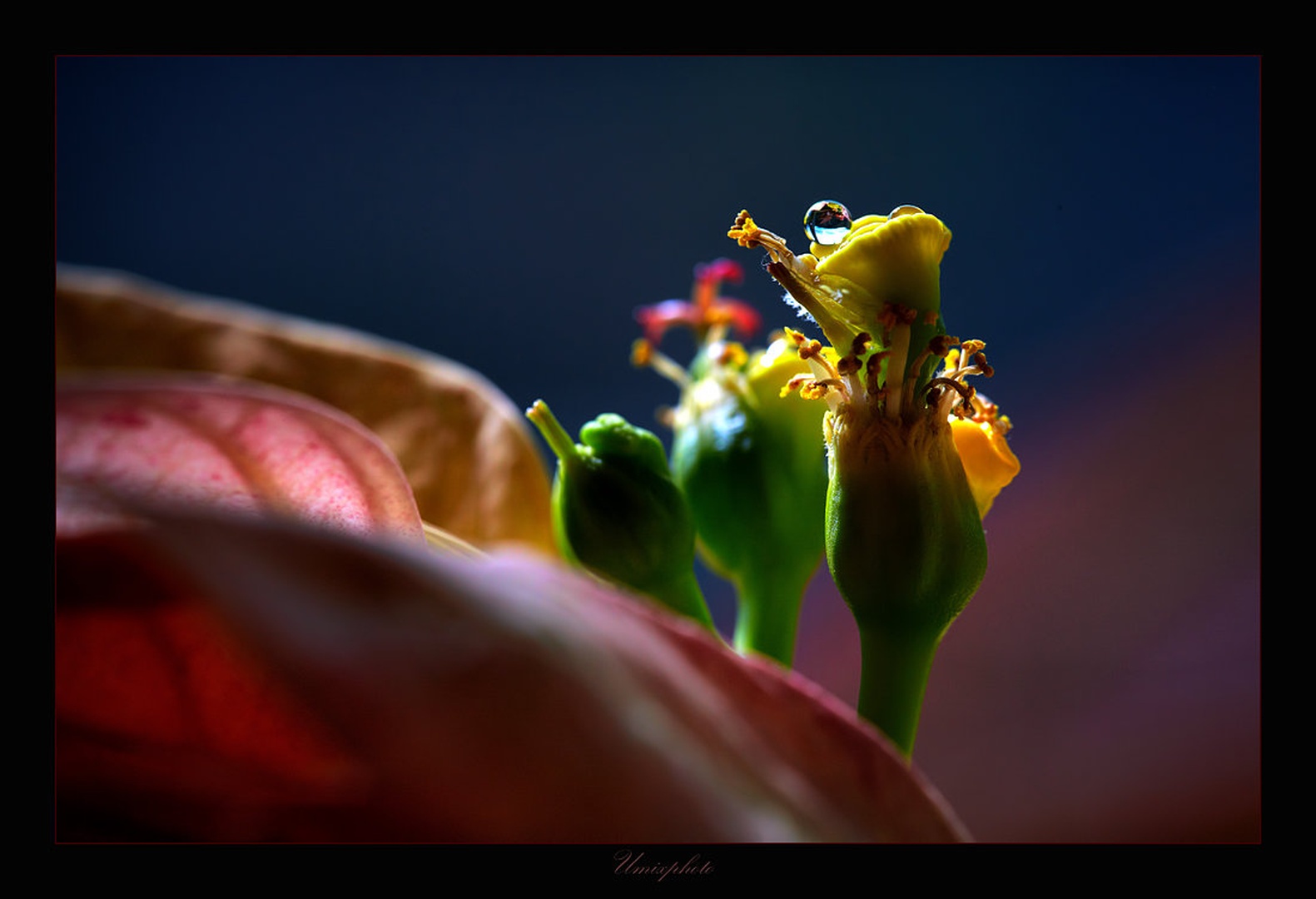 Kaplica by umix