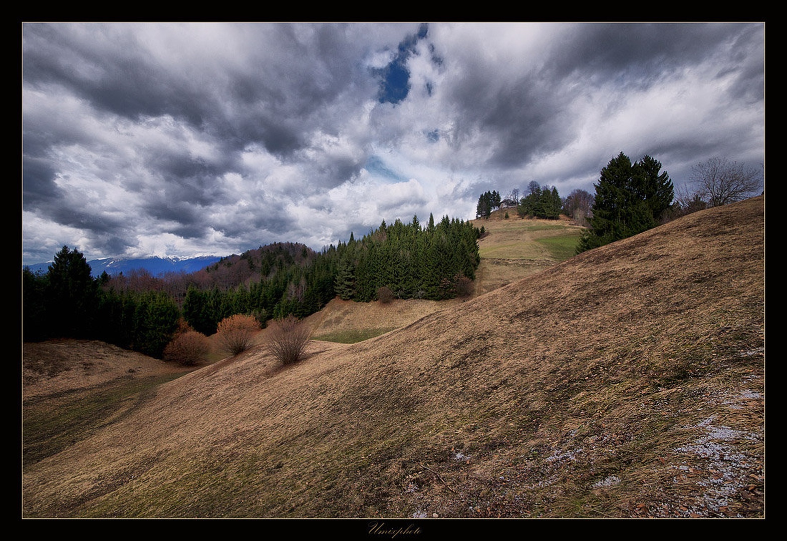 Jošt by umix