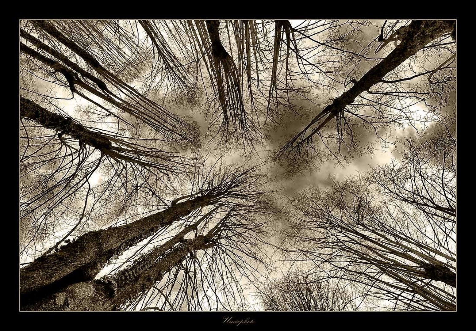Diagonale narave by umix