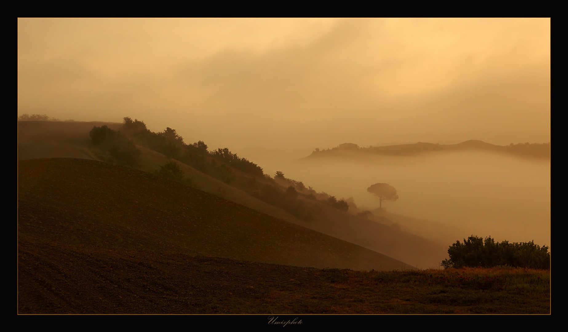 Jutro v Toscani V by umix