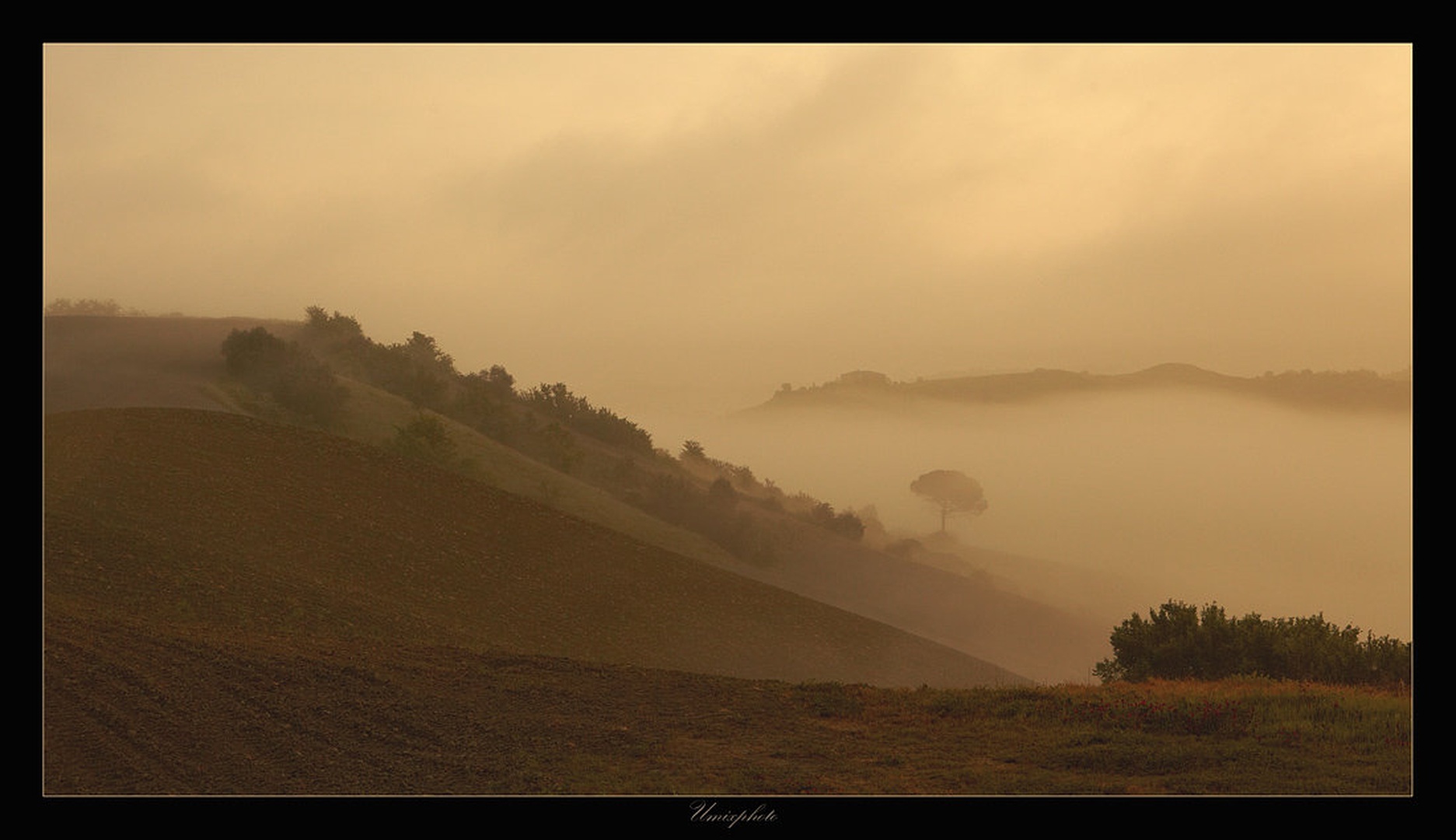 Jutro v Toscani VI by umix