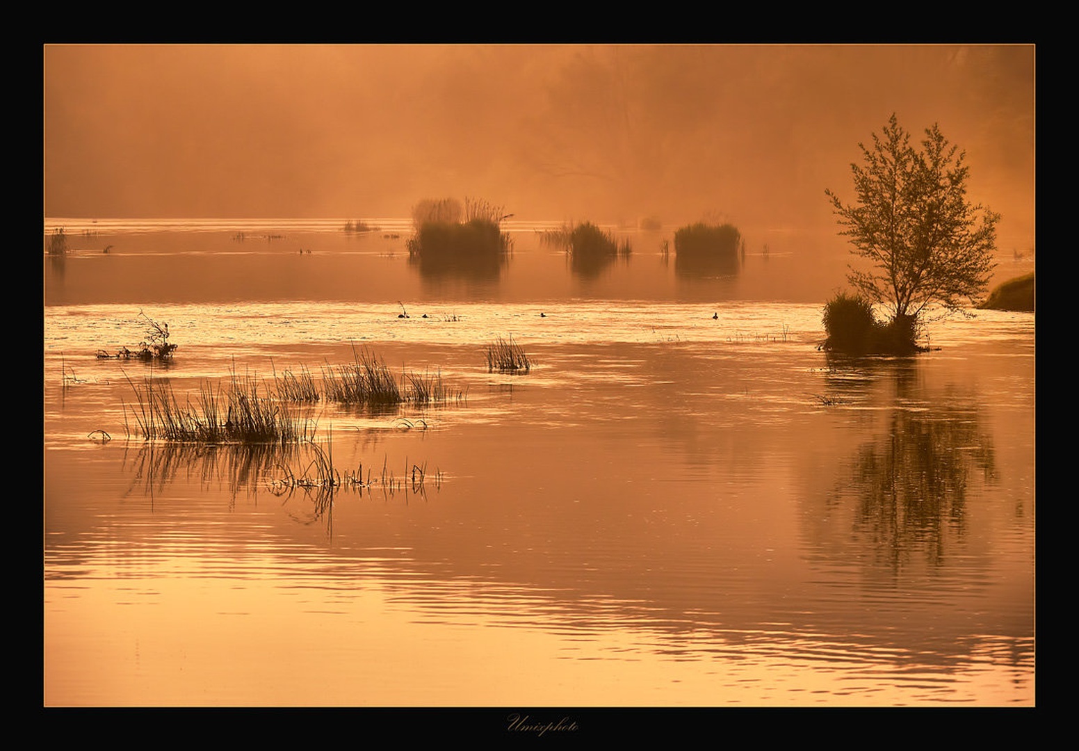 Jutro na Otočcu by umix