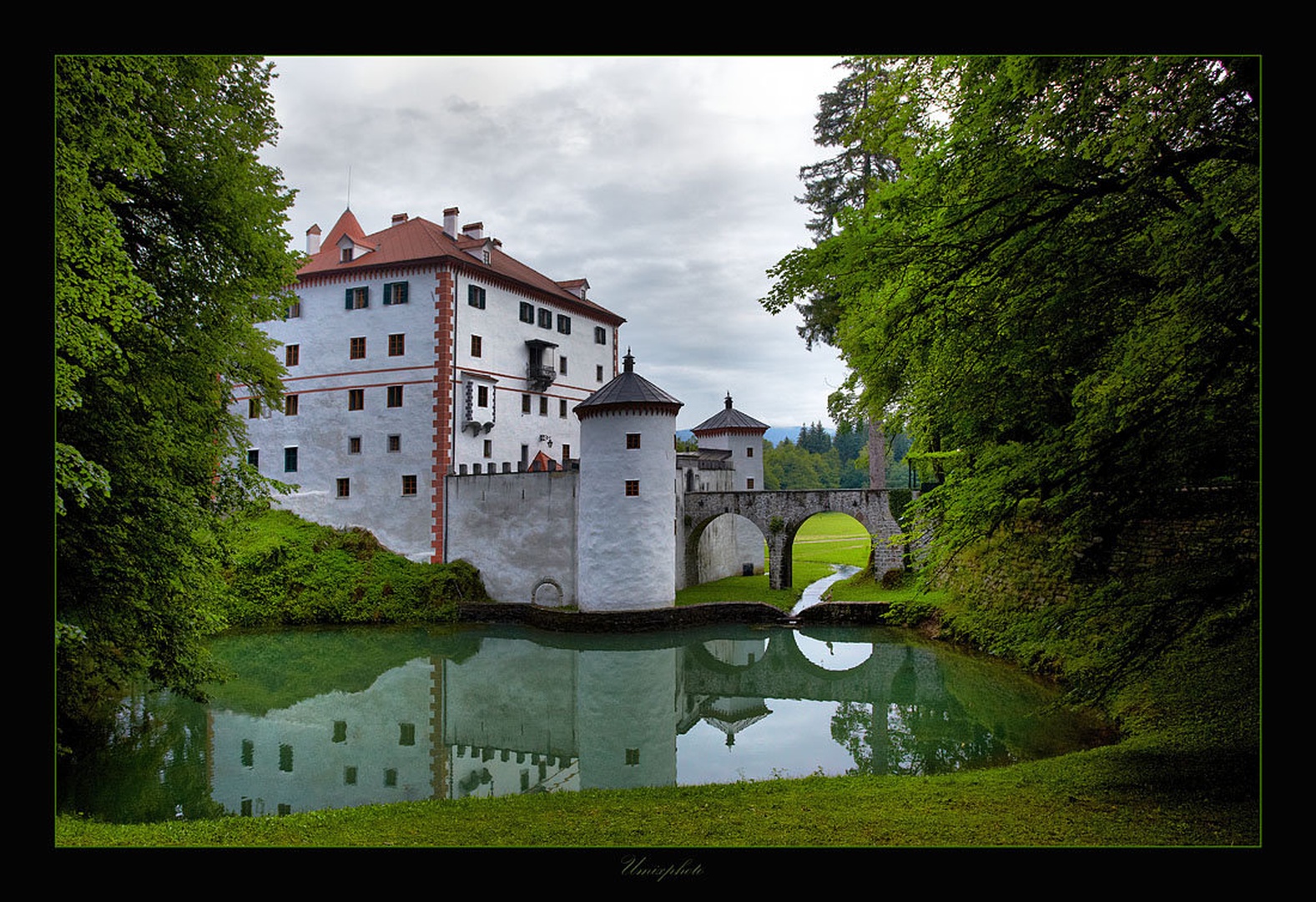 Graščakova gos na gradu Snežnik by umix