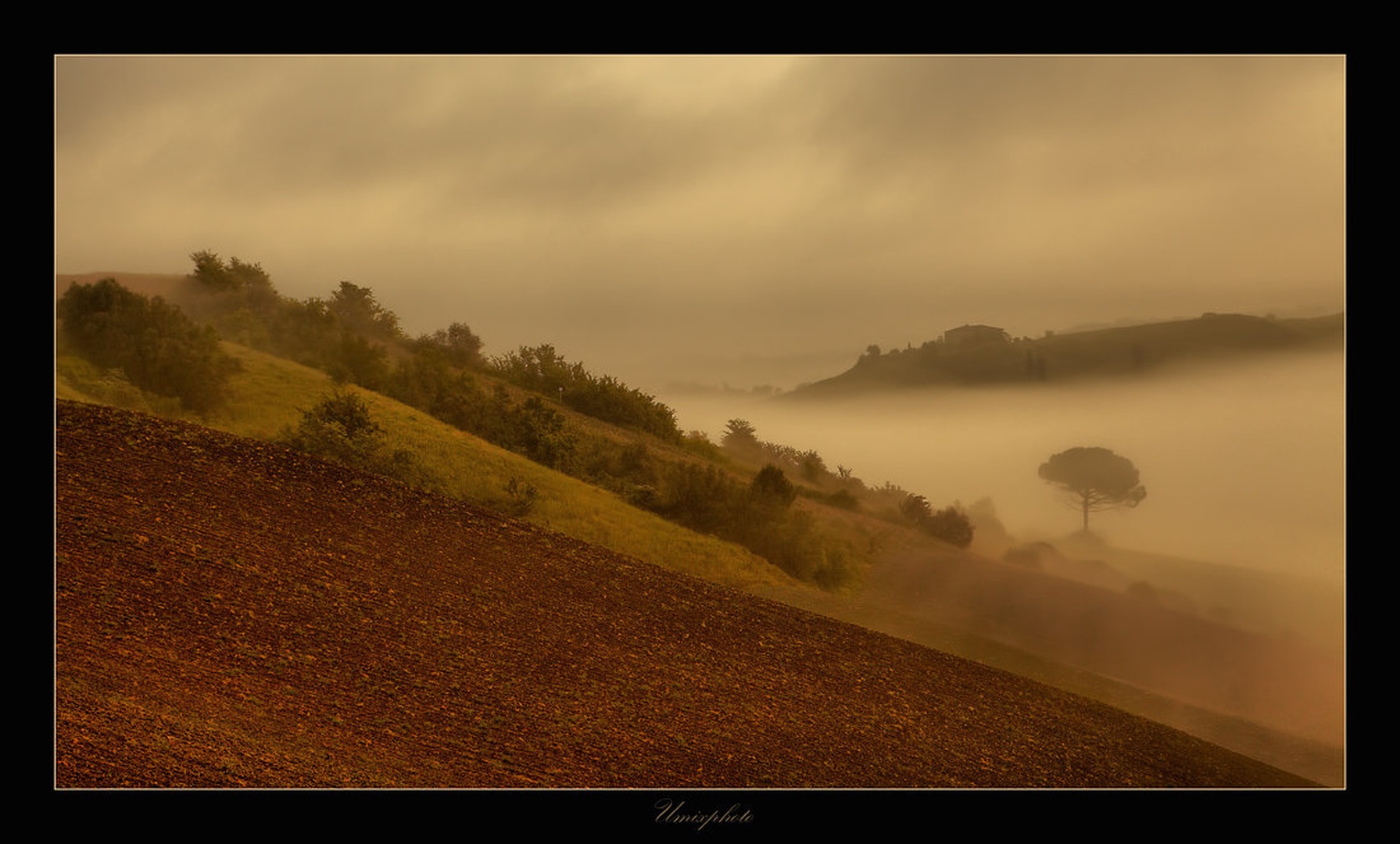 Jutro v Toscani VII by umix