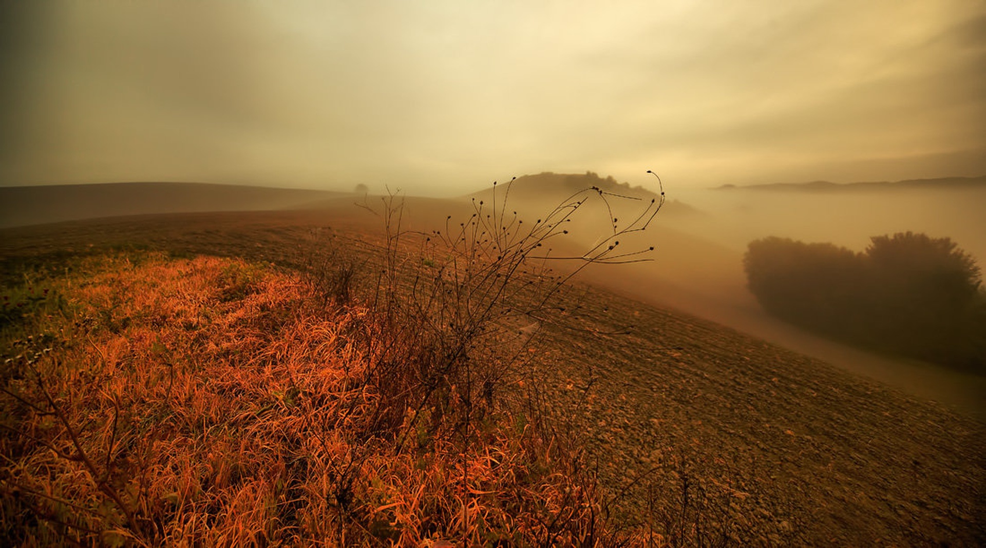 Jutro v Toscani VIII by umix