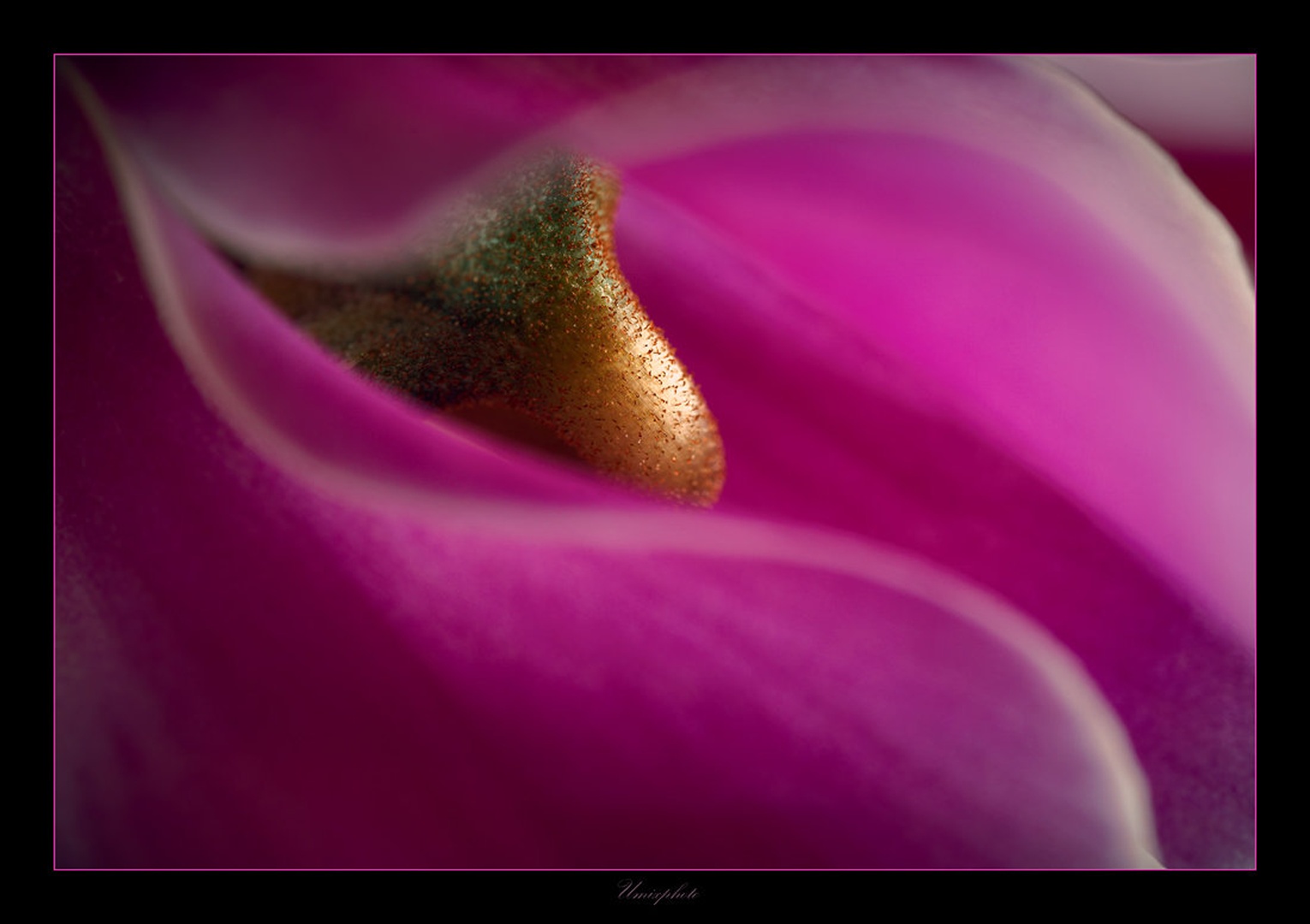 Eroti...... by umix