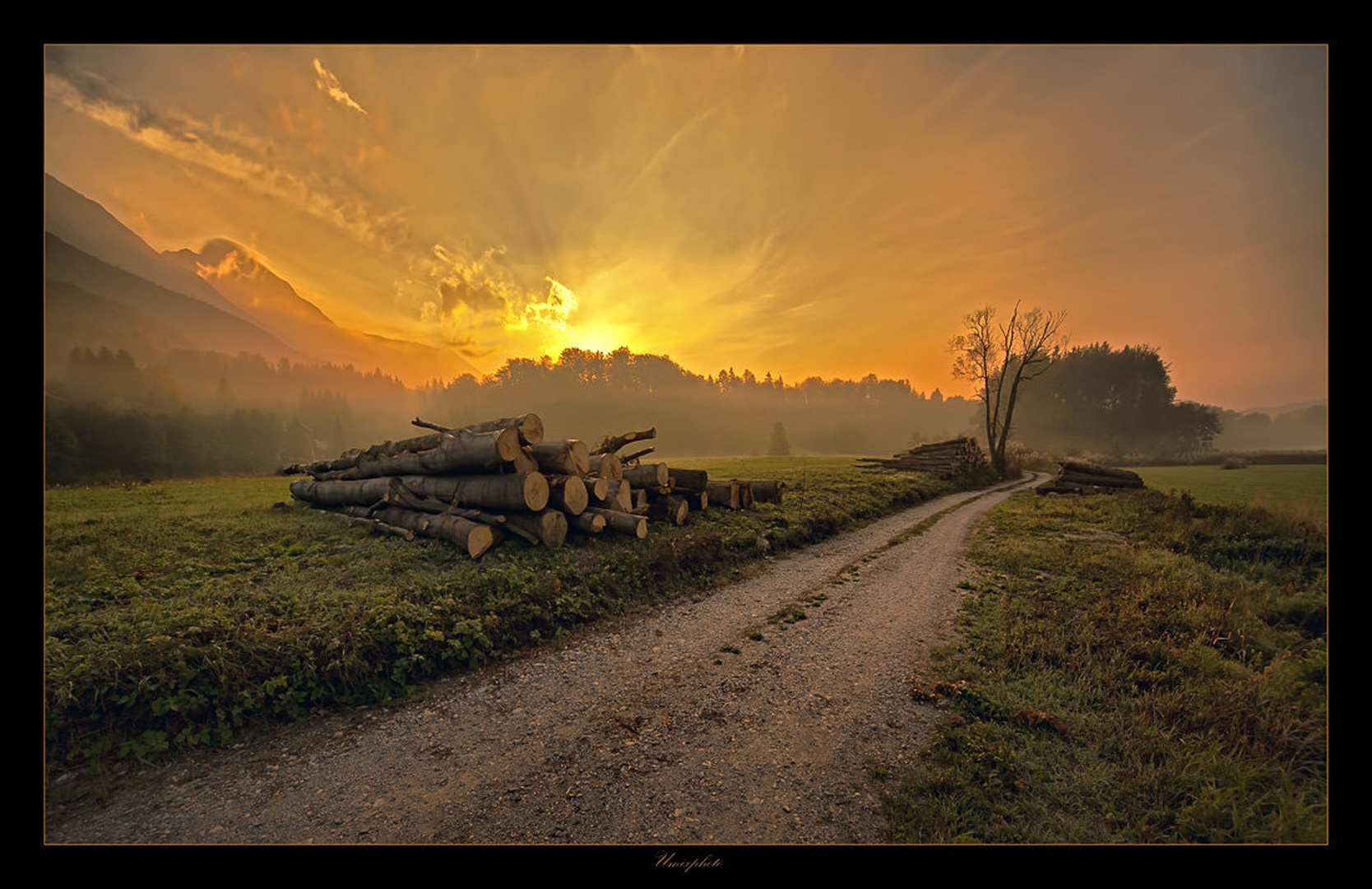 Jutro by umix
