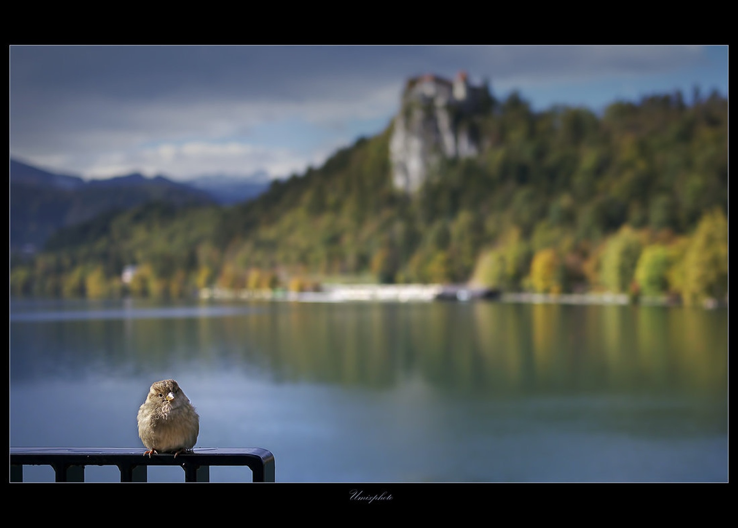 Blejski važič by umix