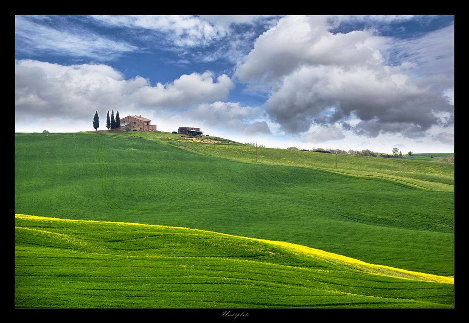 Green Lines by umix