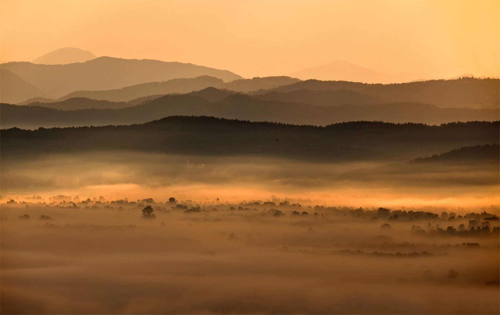 Magično jutro nad barjem by umix