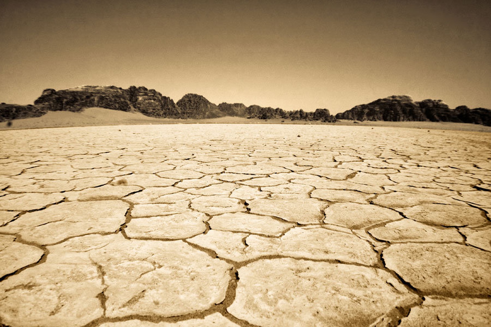 Infinite dry land by Urška Torkar