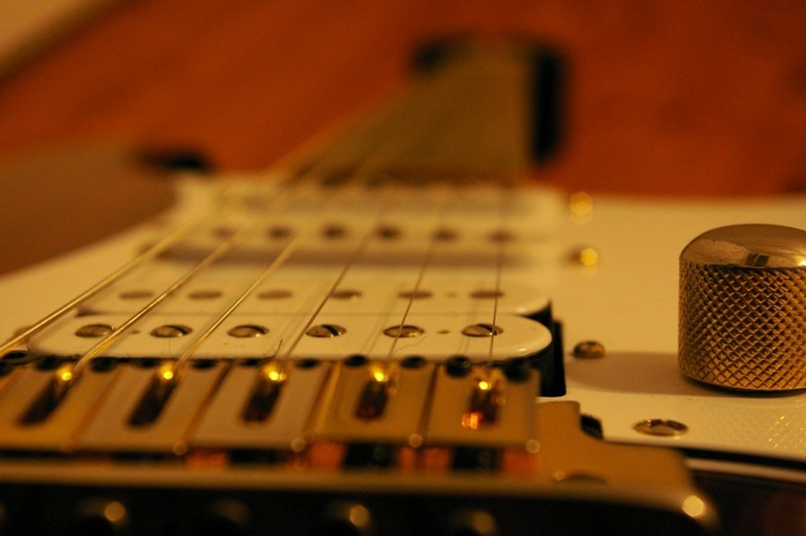 ibanez by Robert Dolanc