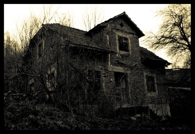 Haunted by Stipe