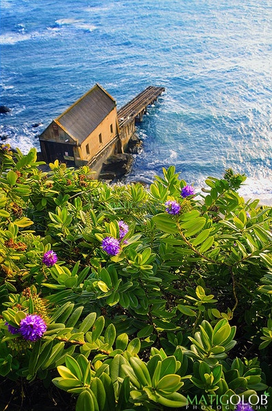 Lizard Point by matic golob