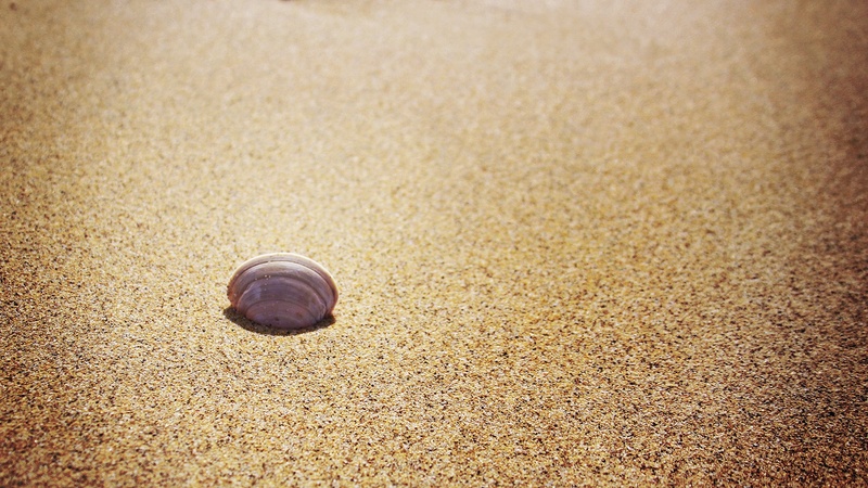 St Ives Beach by matic golob