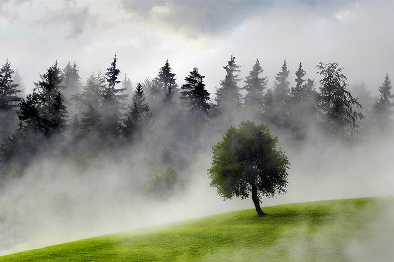 Fresh by matic golob