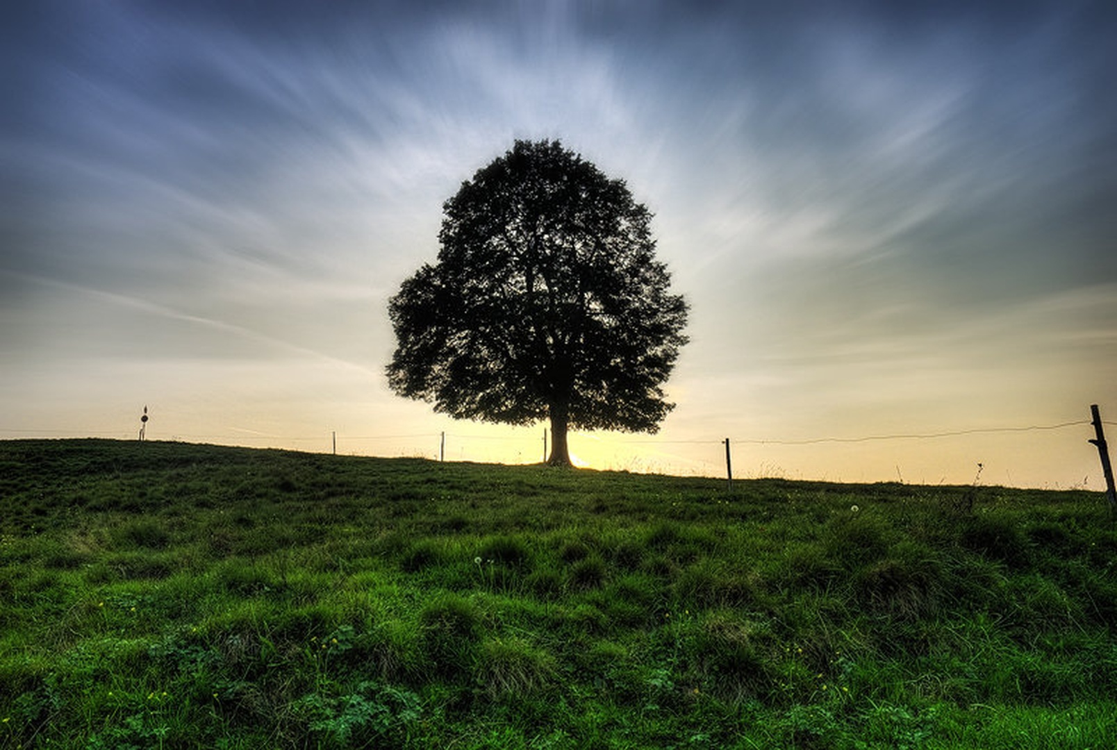 Symbol of Life by matic golob