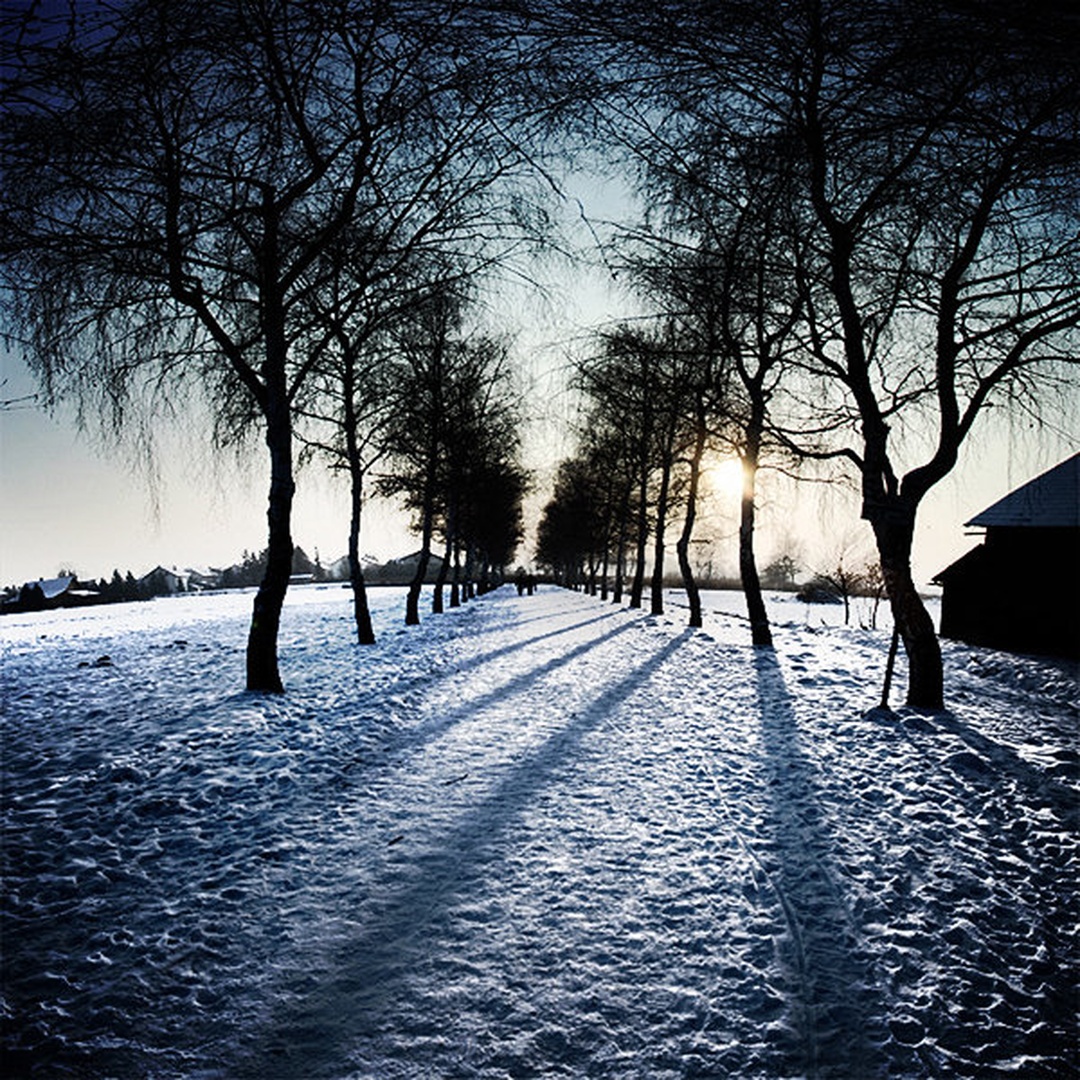winter fairy tale I by matic golob