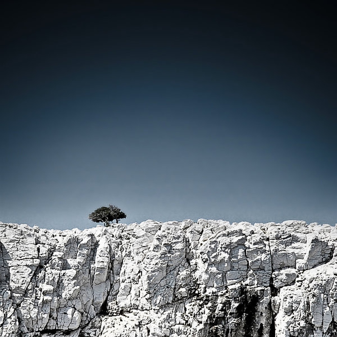 survivor by matic golob