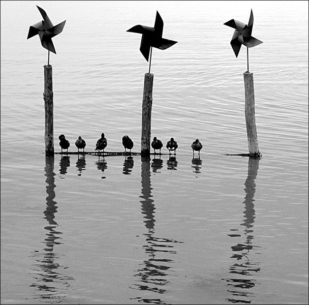 *....*...* by Davor