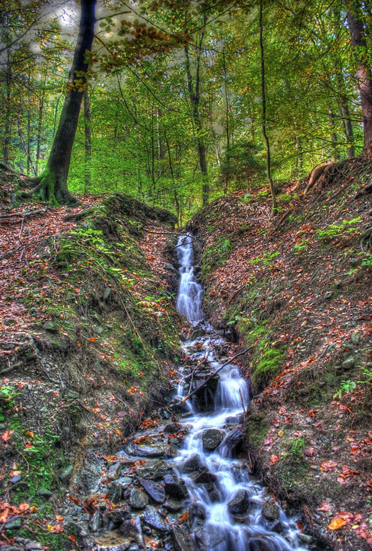 Potoček by Miha Jakin