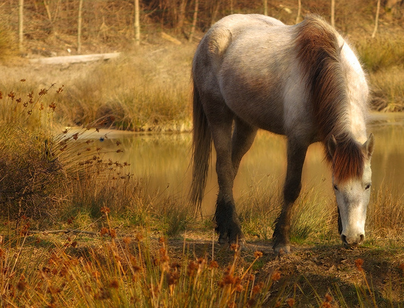 Why the long face? by