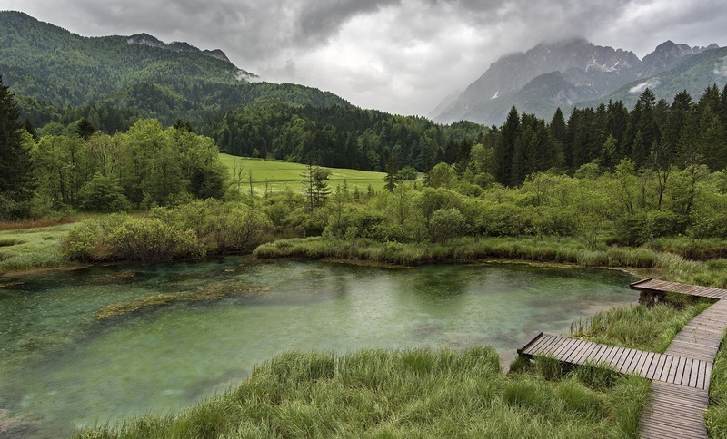 Zelenci v dežju. by sanyalec