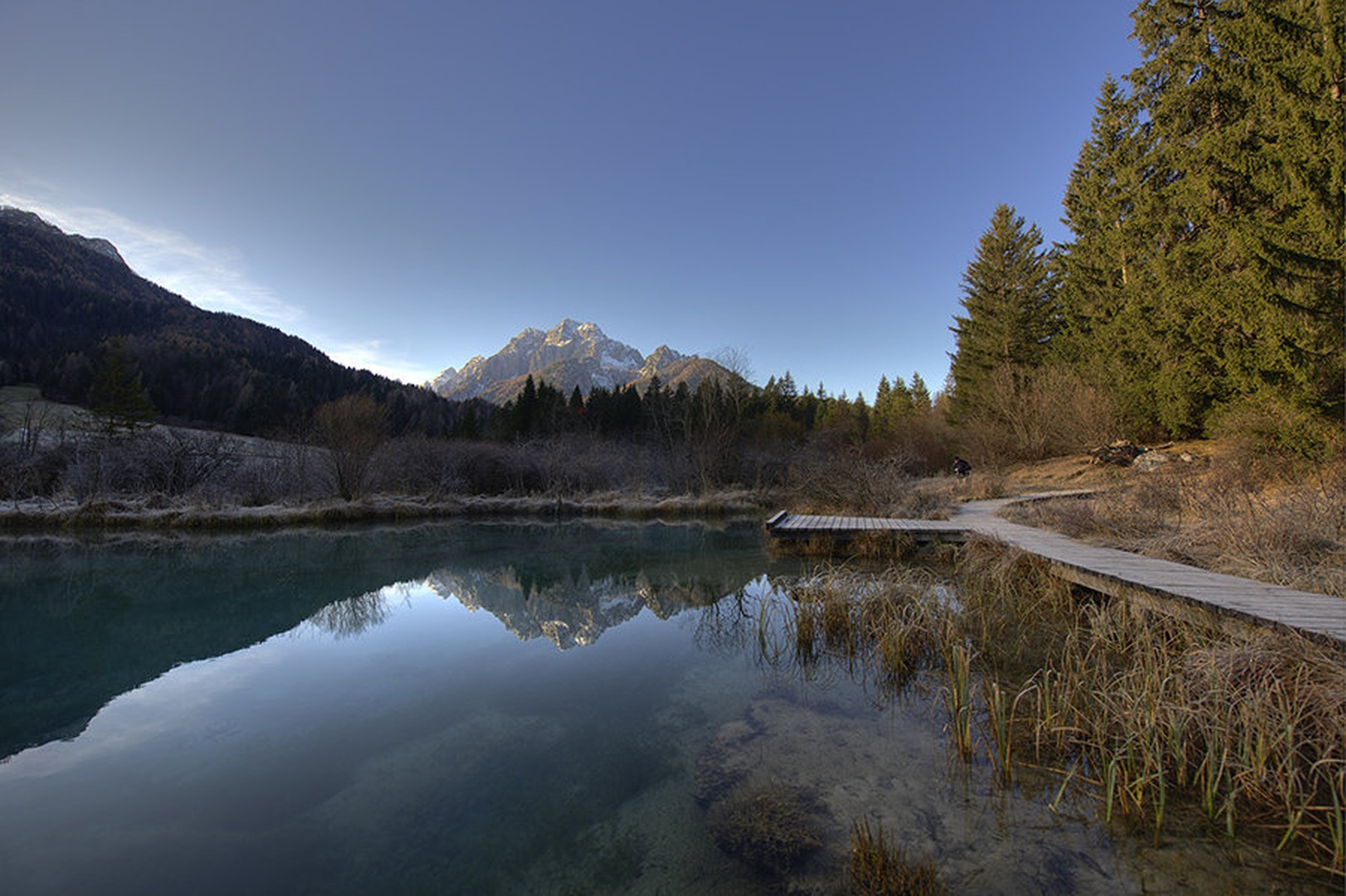 Zelenci by sanyalec