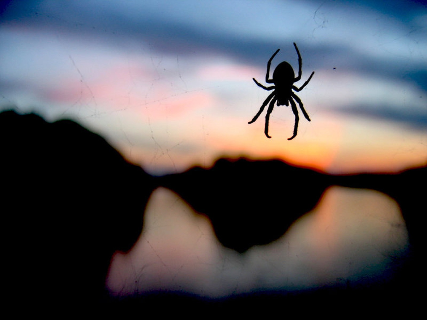 Waiting for the dinner... by Oliver Ruškovič