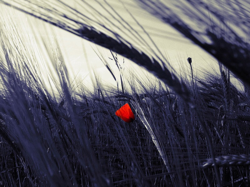 Alone by Oliver Ruškovič