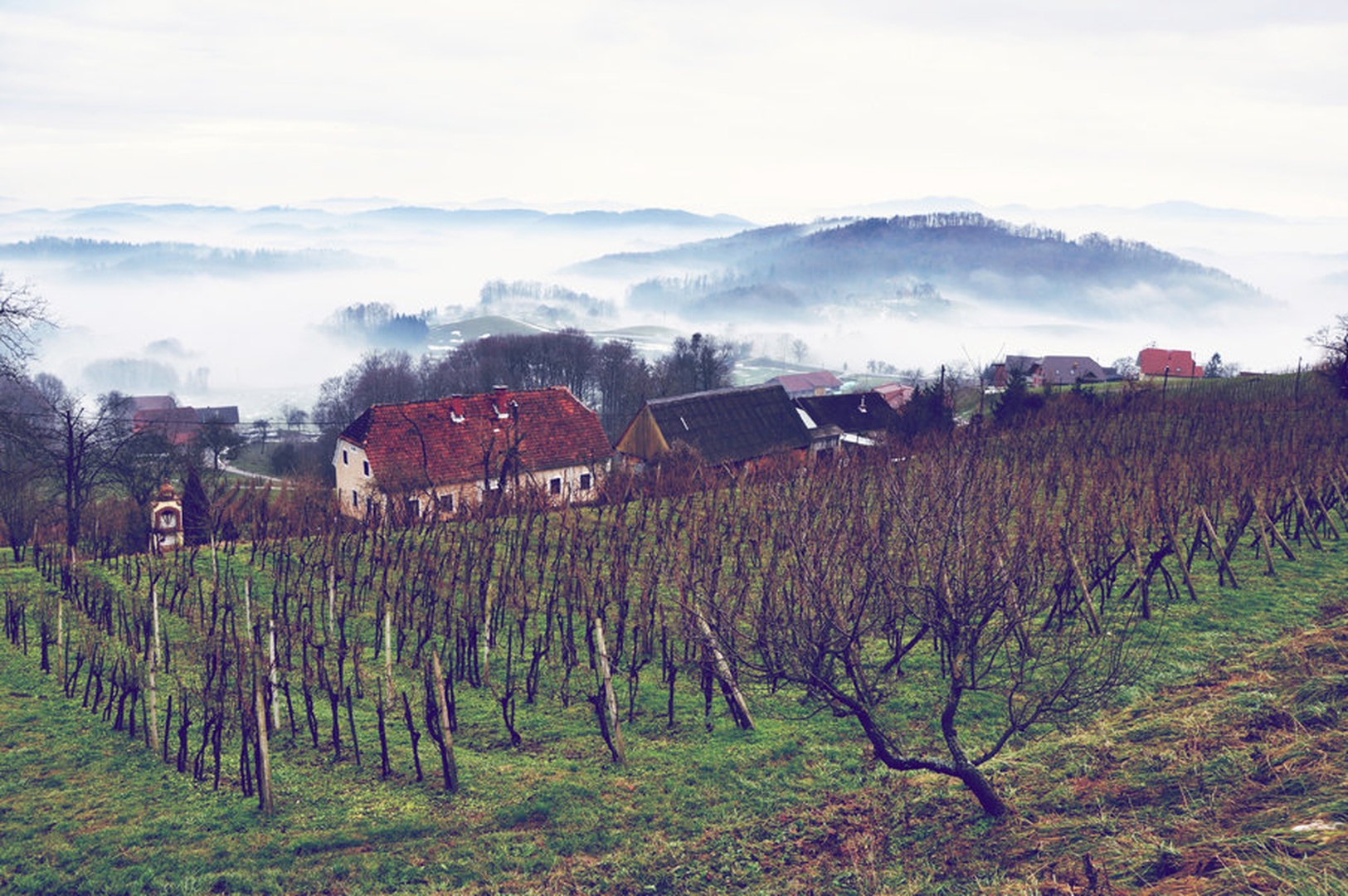 Fog (1) by Oliver Ruškovič