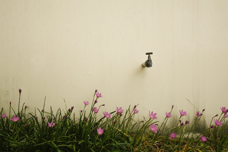 Thirsty by Miha Brodaric