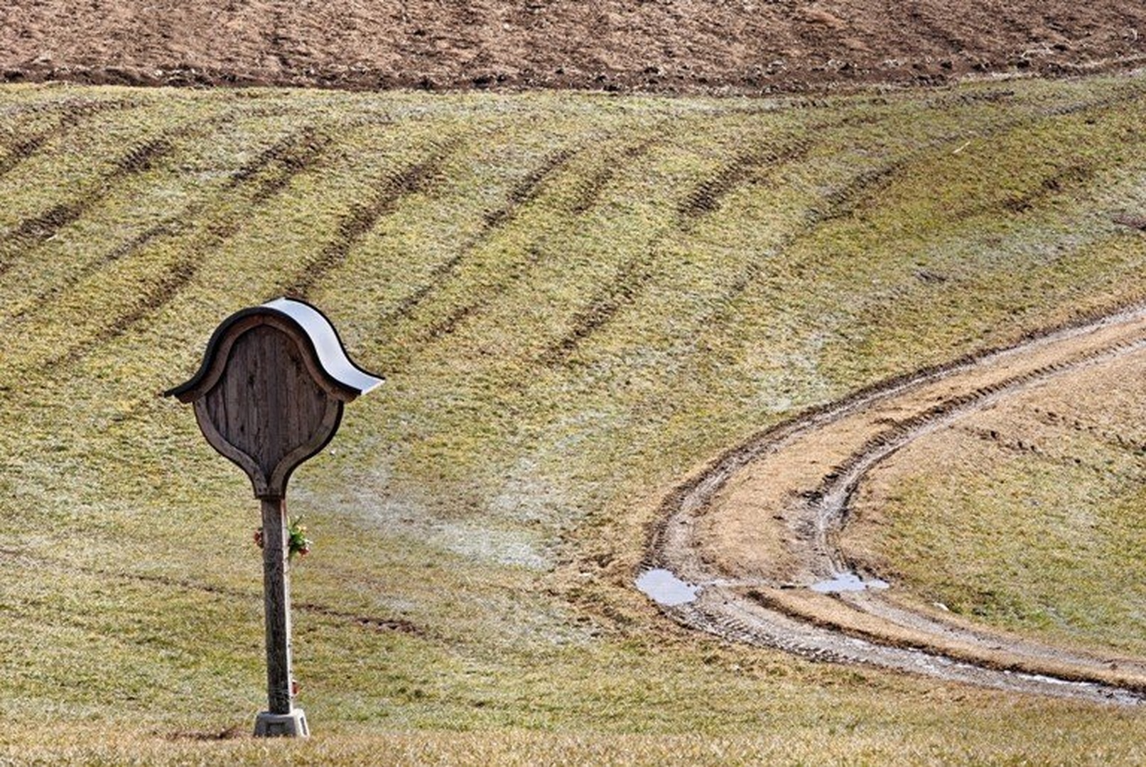 Znamenje,cesta in polje by Grega Likozar