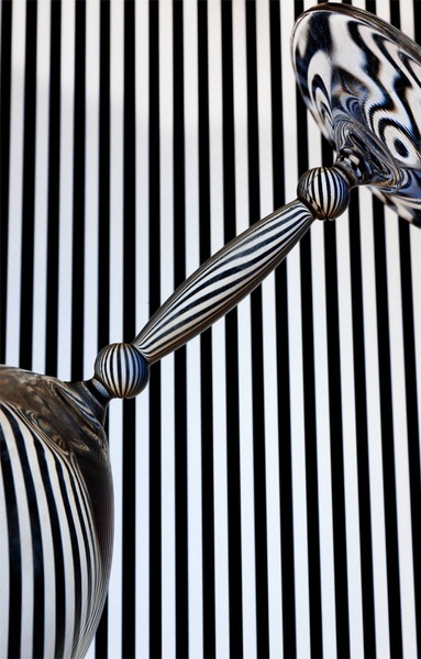 Zebra by Max Petač