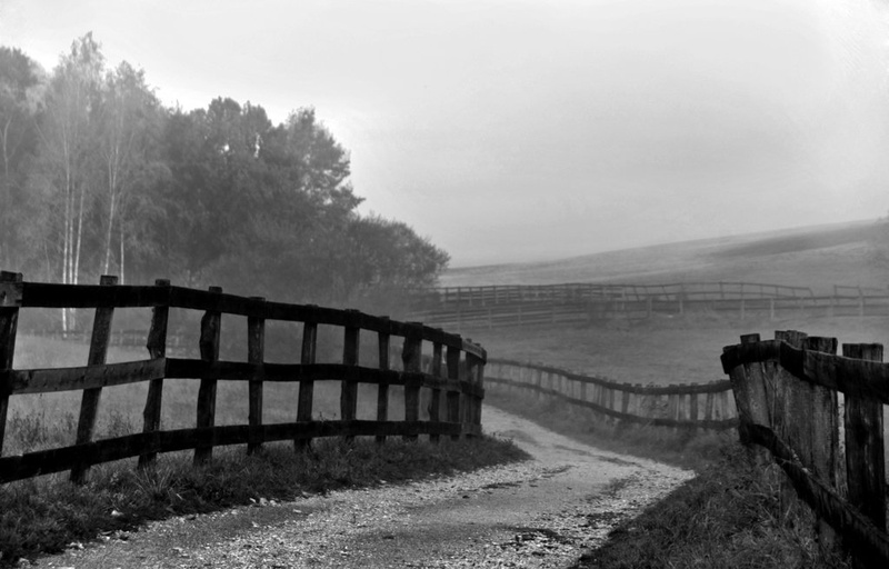 morning to wake up by Velimir Bunjevčevič