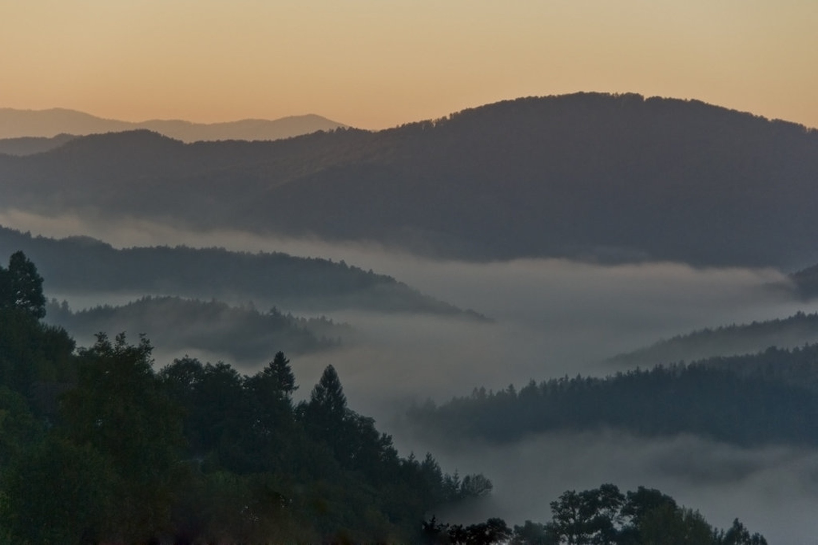 Early morning 3 by Velimir Bunjevčevič
