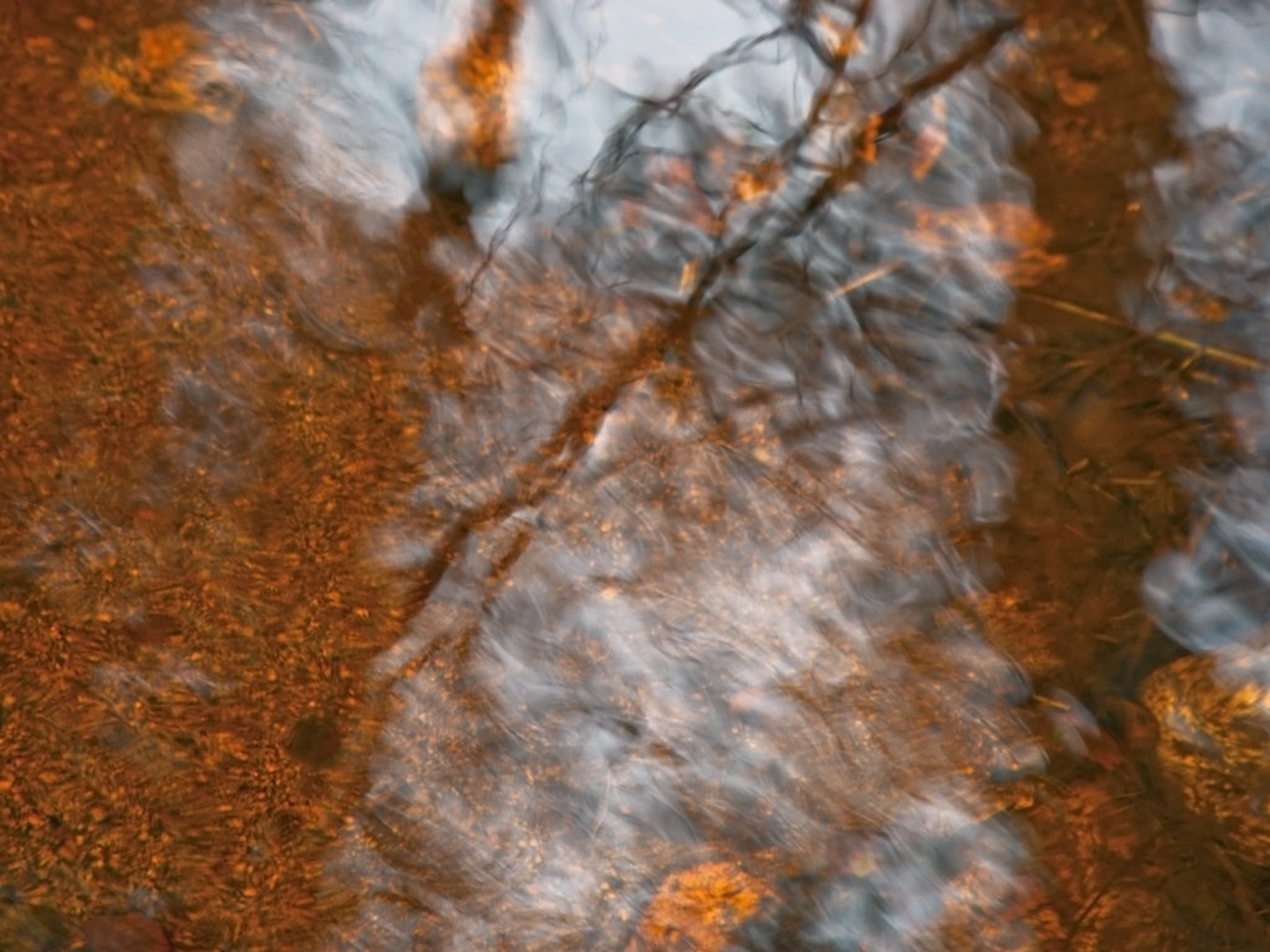 shadows on the Iron water by Velimir Bunjevčevič