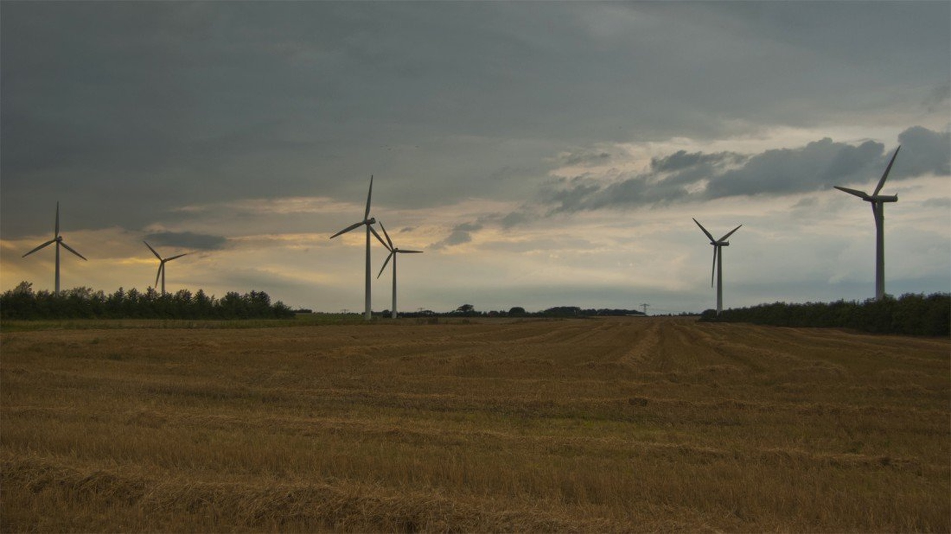 Sunset on the Danish fields by Velimir Bunjevčevič