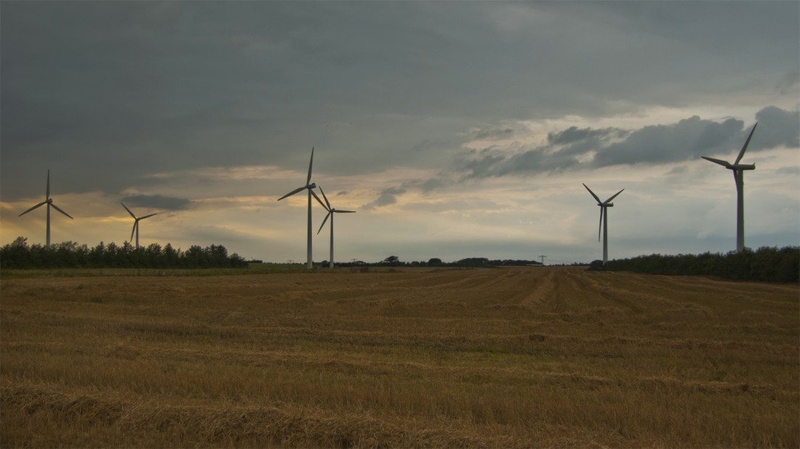 Sunset on the Danish fields by Velimir Bunjevčevič