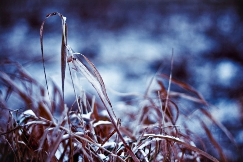 frosty sunday by ursyka92