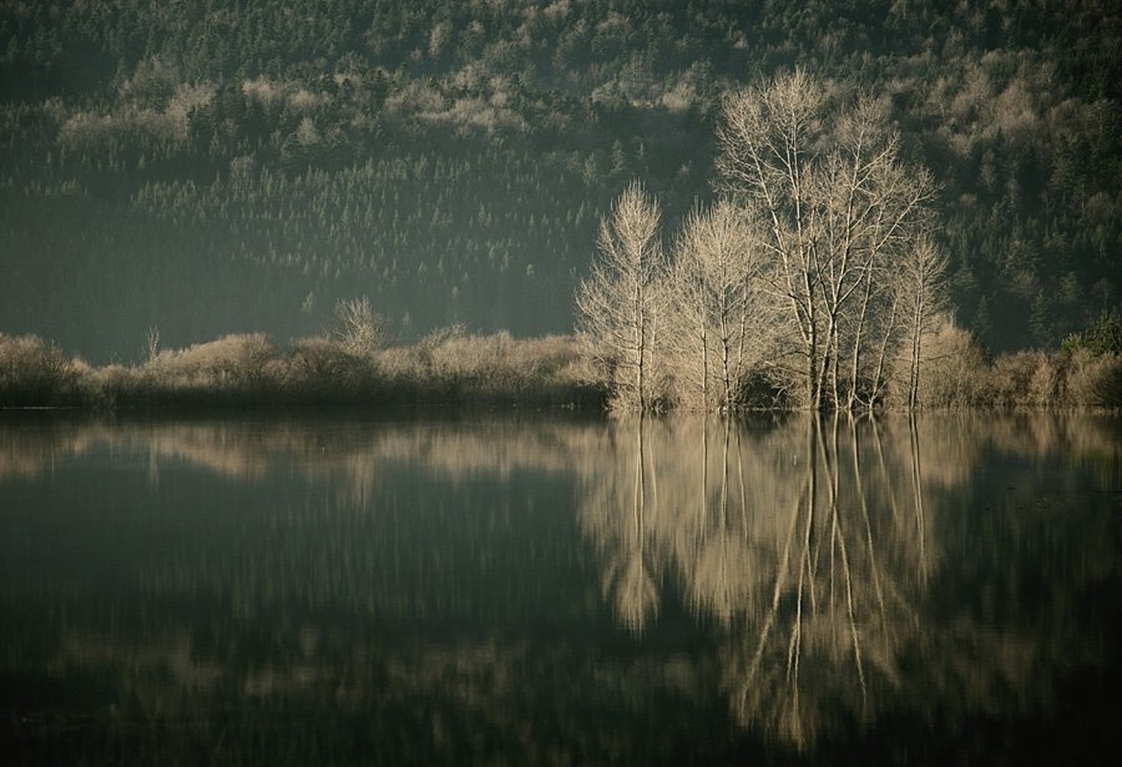 Jezero se prebuja by Ivo Gregorič