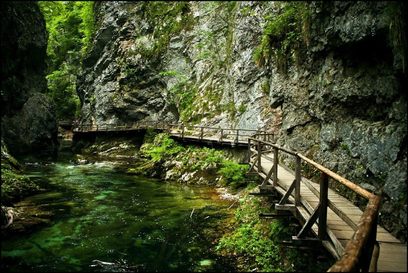 Blejski vintgar by Ivo Gregorič