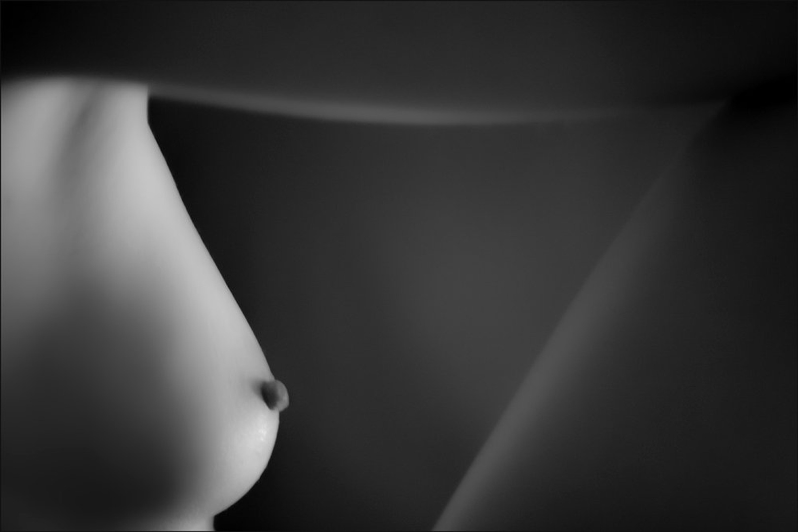 Mamiya by Ivo Gregorič