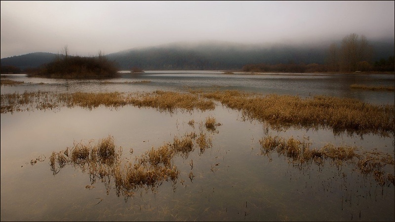 Megle nad jezerom by Ivo Gregorič