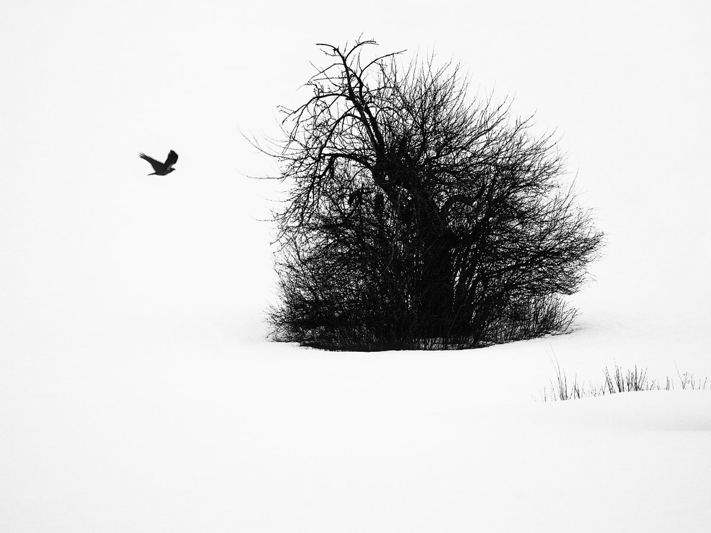 A winter's tale by Ivo Gregorič