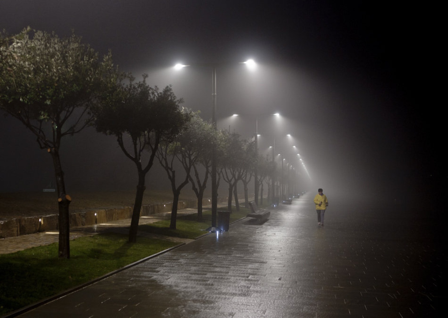 Fog by Ivo Gregorič