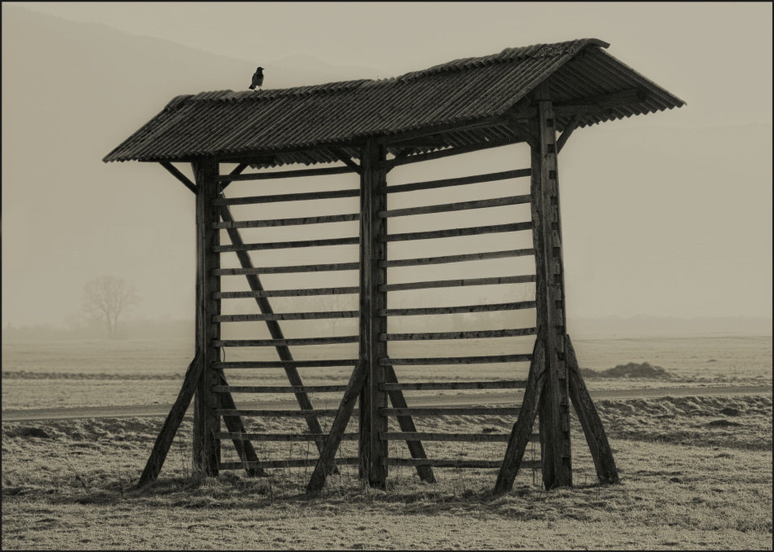 Svarilo by Ivo Gregorič